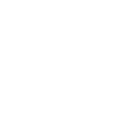 Local SEO Services Icon