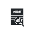 SEO Audit Services Icon