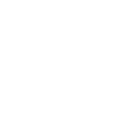 Advance Technical SEO Icon