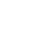 Expertise in Local SEO Icon