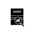 SEO Audit Services Icon