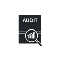 Comprehensive Audits Icon