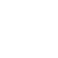 SEO Consulting Services Icon