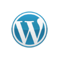 WordPress SEO Expert Icon